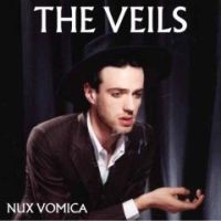 the-veils.jpg