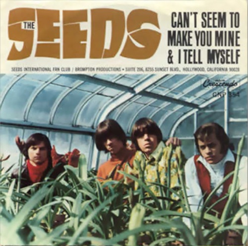 seeds-sky