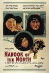 nanook