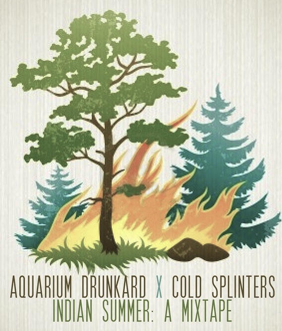 Cold_Splinters_Aquarium_Drunkard