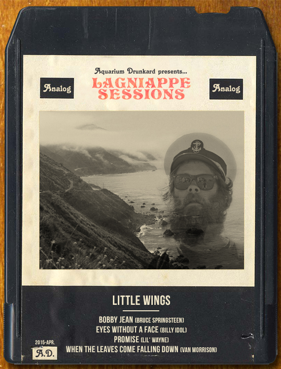 little_Wings_Aquarium_drunkard