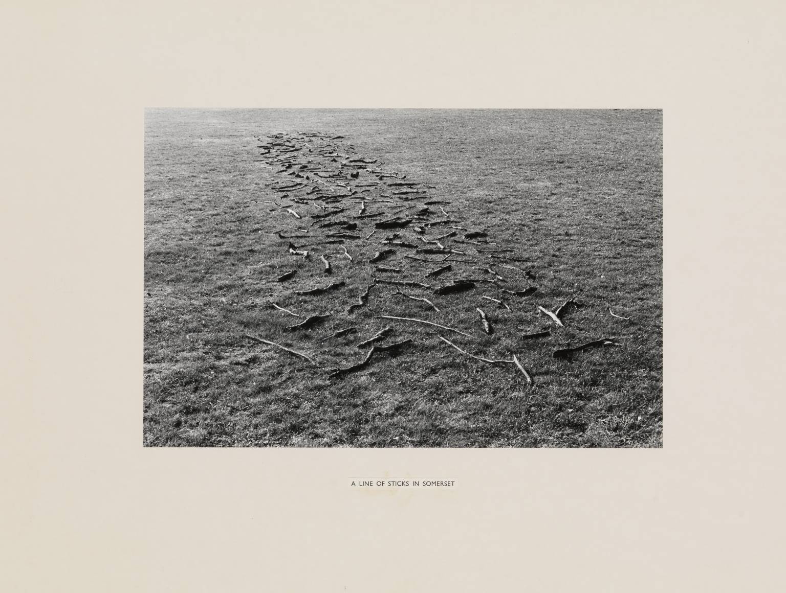 A Line of Sticks in Somerset 1974 Richard Long