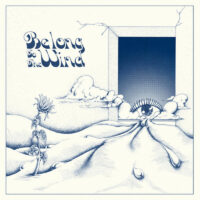 Various Artists – Belong To The Wind album cover