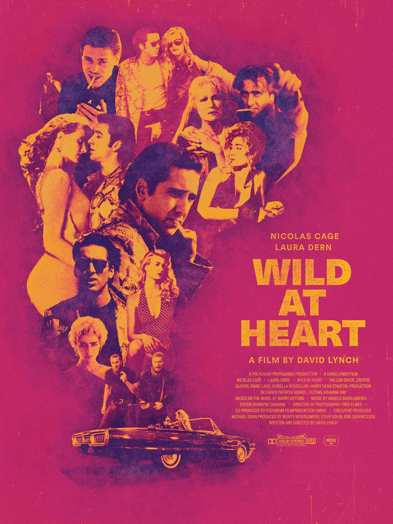 wild at heart film fire