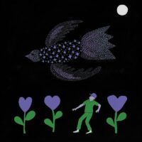 Bonnie “Prince” Billy – The Purple Bird album cover