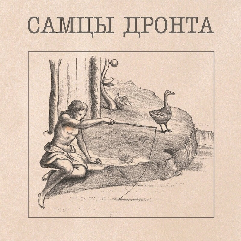 Самцы Дронта :: Самцы Дронта - Aquarium Drunkard