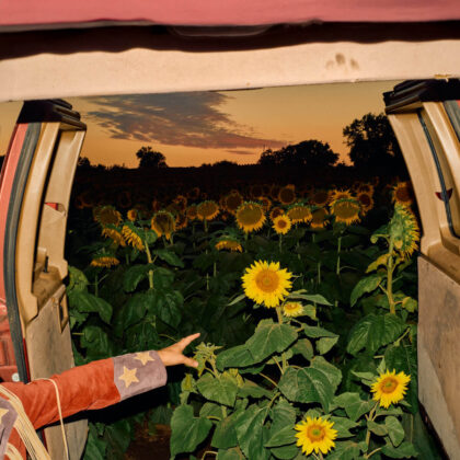 Sunflowers field at sunset viewed from open van doors; a hand points toward the plants.