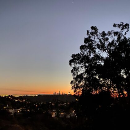Silhouetted tree in the foreground with a distant city skyline at sunset on the horizon.